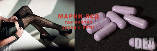 ПСИЛОЦИБИНОВЫЕ ГРИБЫ Алзамай