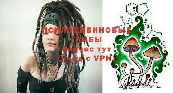 молекула духа Алексеевка