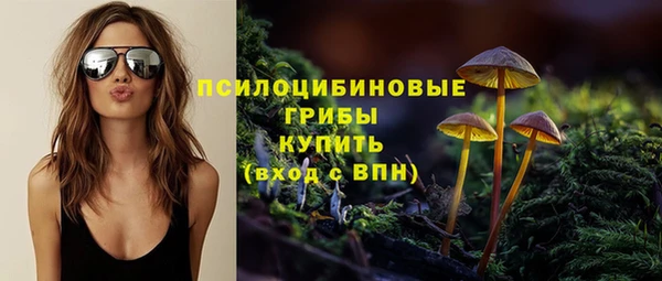 ПСИЛОЦИБИНОВЫЕ ГРИБЫ Алзамай