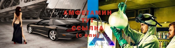 ПСИЛОЦИБИНОВЫЕ ГРИБЫ Алзамай